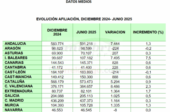 El 67% del crecimiento nacional de autónomos se da en Comunidad Valenciana, Baleares o Andalucía
